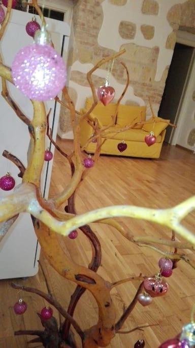 Ibiscus Appartement